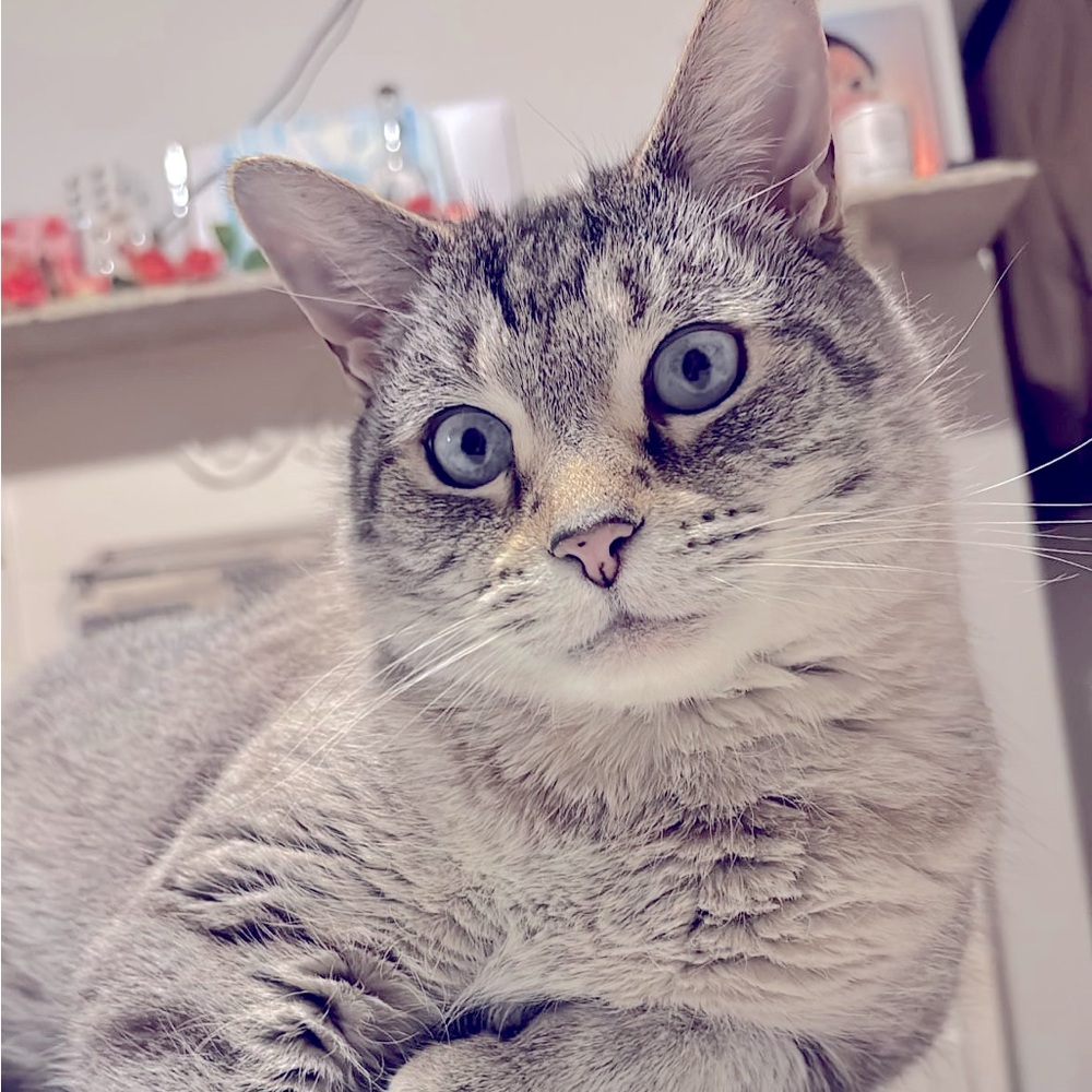 Meet your Posher, Blanca